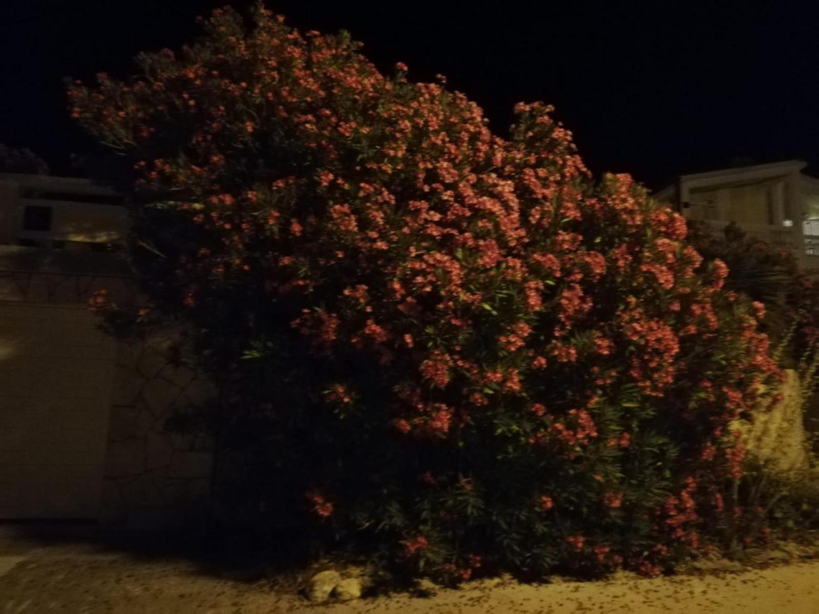 ורסי Apartments Zadar Nin Anton I Martina חדר תמונה